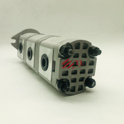 1077977 Motore diesel alternatore personalizzabile 24V 70A per le esigenze del cliente