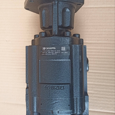 Alta garanzia Dieci BHD3119 pompa idraulica Casappa 799141AS